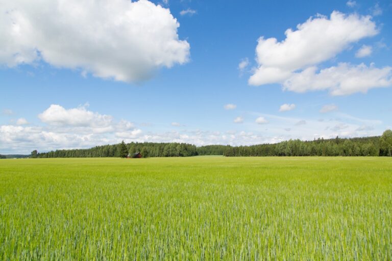 Vuoden Luomutuote -kilpailun voittaja Etelä-Savosta?